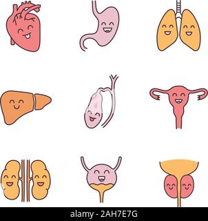 Les organes internes souriant icônes couleur définie. Respiratoire, urinaire, reproducteur, digestif, la santé. Illustrations vectorielles Illustration de Vecteur