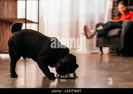 Focus sélectif de pug mangeant de bol et fille avec prothèse reading book in armchair Banque D'Images