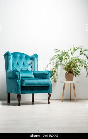 Velours élégant fauteuil bleu avec oreiller près de green plant Banque D'Images