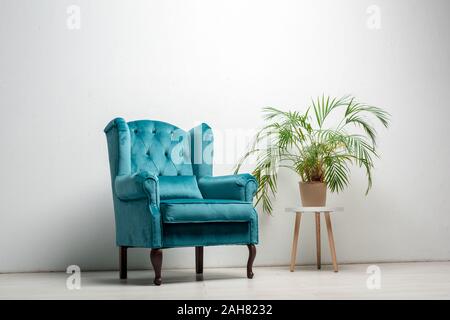 Velours élégant fauteuil bleu avec oreiller près de green plant Banque D'Images