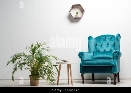 Intérieur de prix avec un élégant fauteuil velour blue près de plante verte et table à café près de mur blanc Banque D'Images