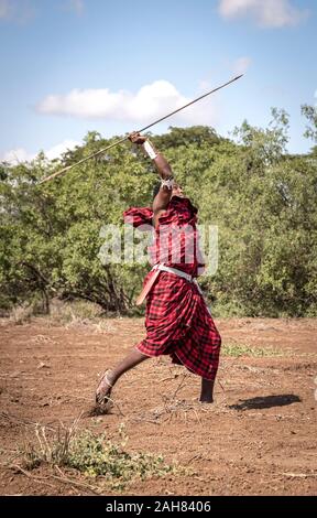 Beau guerrier Massaï jetant sa lance Banque D'Images