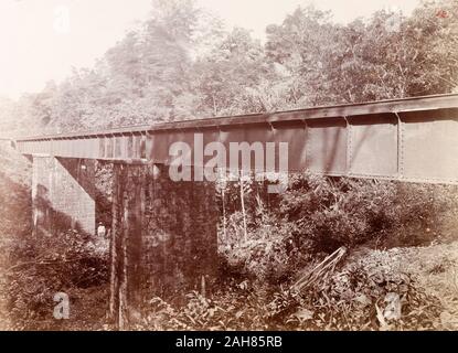 Trinité-et-Tobago, un pont ferroviaire de poutres d'acier prend en charge une partie de la Trinité-chemins de fer de l'Etat comme il traverse le ravin Dabadie. Sous-titre suivant : D'abadie ravine pont, [c.1895]. 1999/221/1/25/12. Banque D'Images