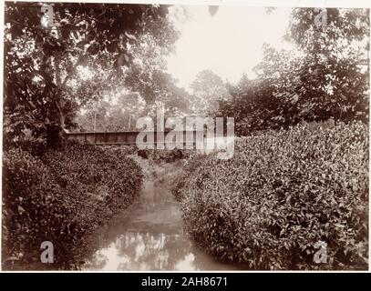 Trinité-et-Tobago, pont de chemin de fer 'No 29' traverse la rivière Caparo, transportant un tronçon de voie au travers des chemins de fer de Trinidad la Caparo Valley.sous-titre suivant : Caparo Valley Railway. Pont Extension no 29 (50 ft span), [c.1895]. 1999/221/1/25/43. Banque D'Images