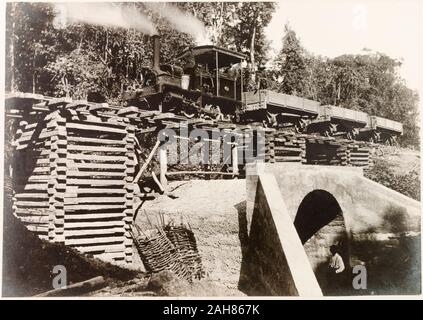 Trinité-et-Tobago, un petit train à vapeur traverse "ponceau no 35' sur une ligne d'extension des chemins de fer de l'Trinité reliant Rio Claro au réseau ferroviaire.sous-titre suivant : n° 82 Extensions Rio Claro, ponceau no 35 4m. 13c, 1914. 1999/221/1/25/55. Banque D'Images