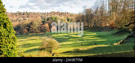 Campagne des Cotswolds à Miserden, Gloucestershire, Angleterre, Royaume-Uni Banque D'Images