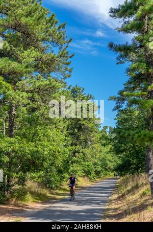 Cycliste sur le Code du Rail Trail, une piste cyclable passant par Nickerson State Park, Cape Cod, Massachusetts, USA Banque D'Images