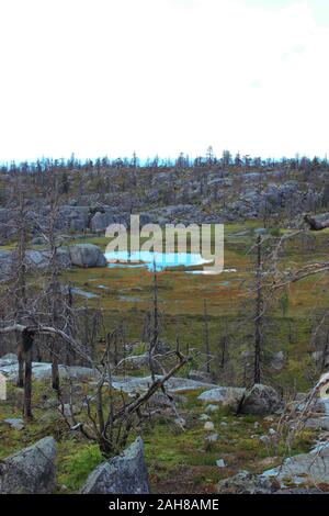 Marais ou d'un lac avec des pierres mégalithiques seid boulder, arbres morts dans la montagne Vottovaara sur la réserve naturelle, la Carélie, Russie. Sur fond naturel. Lapp Banque D'Images