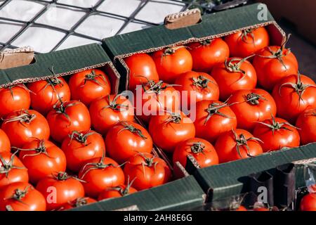 Beaucoup de tomates dans des boîtes. De belles tomates rouges en vente Banque D'Images