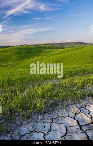 Vue grand angle d'un paysage rural Tuscanian emblématique, avec une zone de terre fissurée au premier plan et des champs de culture verts s'étendant à l'horizon Banque D'Images