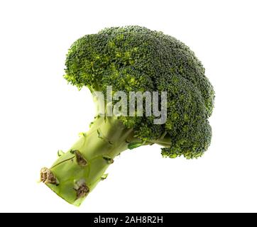 Brassica oleracea italica Brocoli contre isolé sur fond blanc Banque D'Images