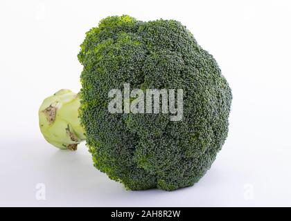 Brassica oleracea italica Brocoli contre isolé sur fond blanc Banque D'Images
