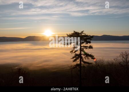 USA Virginia VA Luray Shenandoah River Valley brouillard au sol couvre la vallée Page Comté lever du soleil Banque D'Images