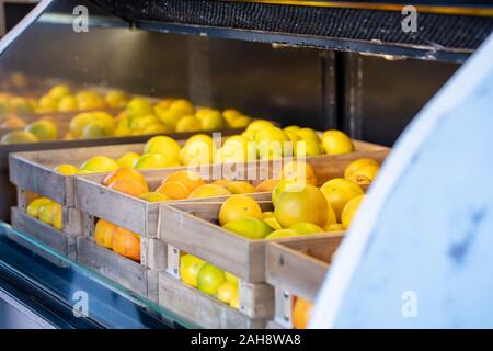 Plein de caisses oranges et citrons frais dans un afficher tous dans une rangée Banque D'Images