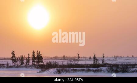 Un hiver froid paysage dans le nord du Canada, comme le phénomène atmosphérique connu comme un chien soleil tourne le ciel orange près de Churchill, au Manitoba. Banque D'Images