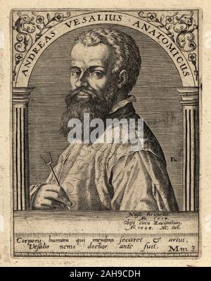 Andreas Vesalius, médecin flamand, anatomiste et auteur de De humani corporis fabrica, 1514-1564. Andreas Vesalius Anatomicus. La gravure sur cuivre de Johann Theodore de Bry de la Bibliotheca chalcographica Jean-Jacques Boissard, Johann Ammonius, Francfort, 1650. Banque D'Images