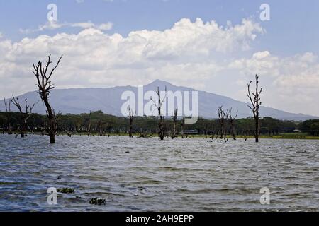 Le lac Naivasha avec le volcan, le Mont Longonot au loin, au Kenya. Banque D'Images