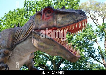 Life-size modèle dinosaure T-Rex à West Midland Safari Park, Bewdley, Worcestershire, Angleterre, RU Banque D'Images