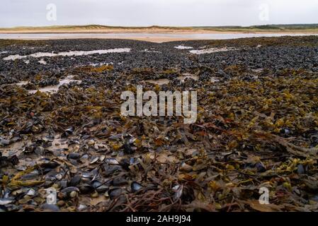 Paysage de la moulières à Loch Fleet Sutherland Ecosse UK Banque D'Images