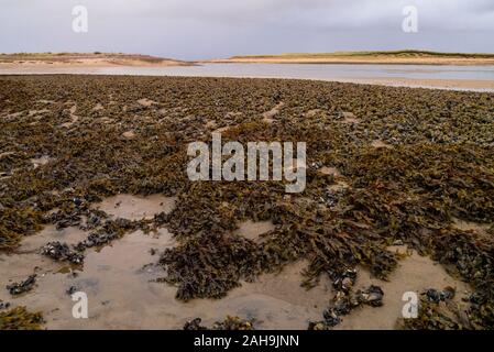 Paysage de la moulières à Loch Fleet Sutherland Ecosse UK Banque D'Images