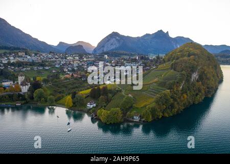 Vue aérienne du lac de Thoune et les vignobles près de la ville de Spiez. La Suisse à l'automne Banque D'Images