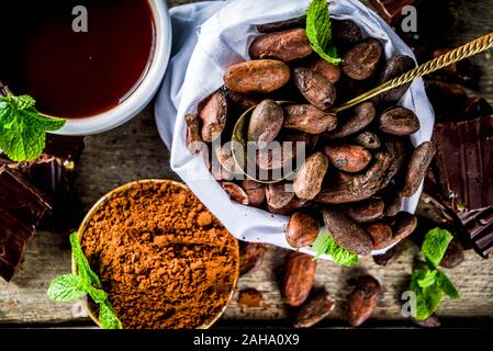 Différentes conditions de cacao. Divers - fèves de cacao, fèves, masse, écrasé de la poudre de cacao, pâte de chocolat, morceaux de chocolat et le chocolat chaud dans une cu Banque D'Images