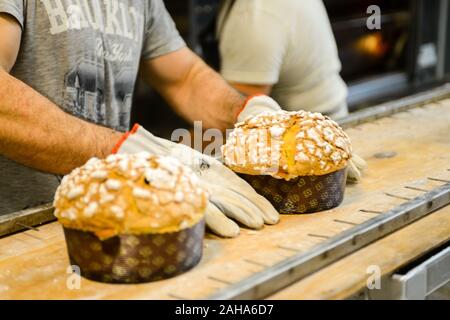 Un chef de pâtisserie italien qui prépare un gâteau italien sucré aux tons panétons Banque D'Images