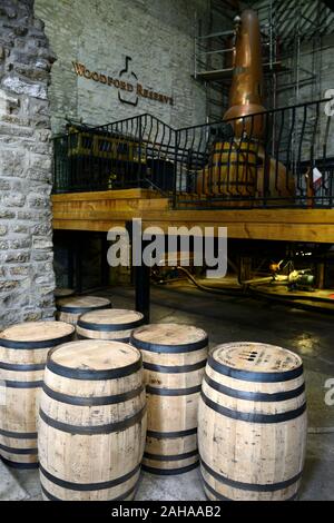 Barils fraîchement remplies,white spirit blanc,blanc,whisky whisky bourbon,station de remplissage,production,Distillerie Woodford Reserve bourbon,kentucky bourbon,bo Banque D'Images