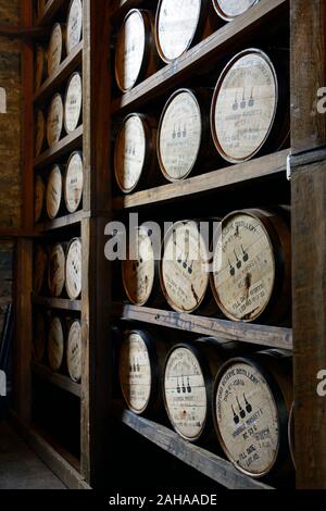 Barils empilés,canon,pile sur rack rack,mature,maturation,whisky,whisky bourbon,,production,Distillerie Woodford Reserve bourbon,,kentucky bourbon,bourbo Banque D'Images