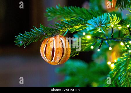 Plastique de décorations de Noël, les clémentines séchées sur un arbre de Noël Banque D'Images