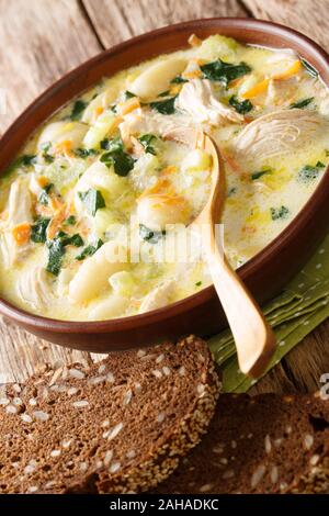 Gnocchi crème soupe avec poulet, épinards et légumes close-up dans un bol sur la table verticale. Banque D'Images