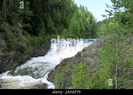 Kivatch falls State Nature Reserve rivière Cascade à Suna, République de Carélie, en Russie sur la nature du paysage forestier d'été du nord de l'arrière-plan. L'un Banque D'Images
