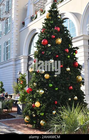 Marion Square au coeur de Charleston, SC pendant la période de Noël avec des cordes des lumières sur les arbres, les présents statuts, Neary et arbres de Noël Banque D'Images