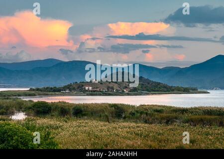 Vue sur les roseaux au lac Mikri Prespa vers l'île d'Agios Achillios au coucher du soleil, Macédoine, Grèce du Nord. Banque D'Images