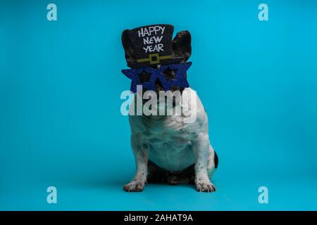 Portrait de funny bulldog français avec soirée du nouvel an verres isolé sur fond bleu. Fin de l'année concept. Nouvelle Année Banque D'Images