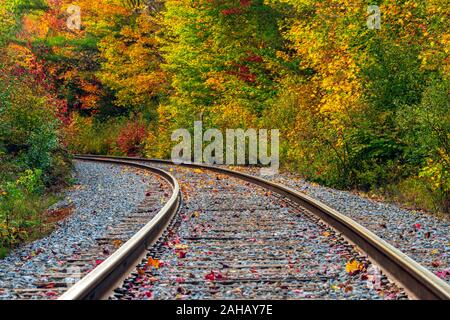 Une longue courbe dans la voie ferrée mène dans la forêt voir de feuilles aux couleurs automnales. Banque D'Images