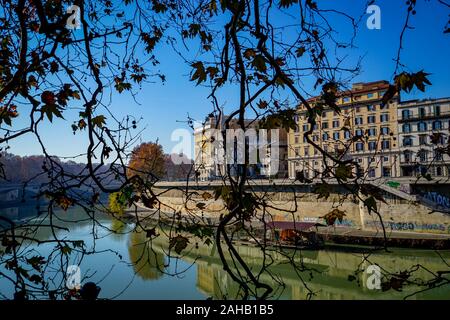 Branches pendantes devant des bâtiments anciens le long des rives du Tibre sur une claire journée d'hiver, à Rome, Italie Banque D'Images