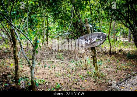 Un panneau en bois à lire 'garder le silence' ordonne aux touristes de ne pas déranger les dragons de Komodo sur Rinca Island dans le Parc National de Komodo au large de Labuan Bajo à Flores, à l'Est de Nusa Tenggara, en Indonésie Banque D'Images