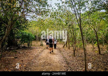 Un panneau en bois à lire 'garder le silence' ordonne aux touristes de ne pas déranger les dragons de Komodo sur Rinca Island dans le Parc National de Komodo au large de Labuan Bajo à Flores, à l'Est de Nusa Tenggara, en Indonésie Banque D'Images