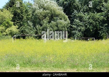 Deux vieux métal rouillé partiellement blanc football soccer poteaux de but sans filet à gauche sur grand terrain entouré de hautes herbe non coupée Banque D'Images