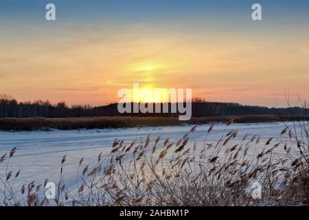 Rivière gelée en hiver, roseaux et le coucher du soleil Banque D'Images