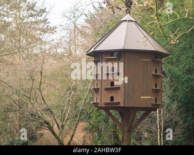 Pigeonnier en bois avec les pigeons dans un parc Banque D'Images