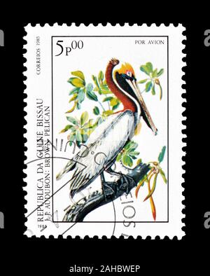 Timbre-poste annulé imprimé par la Guinée-Bissau, qui montre Brown Pelican, vers 1985. Banque D'Images