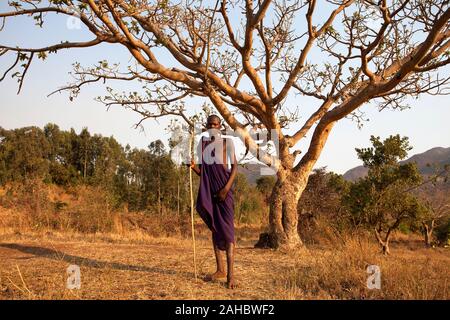Jeune homme de la tribu Suri debout sous un arbre et tenant un long bâton, de l'Ouest Banque d'Omo en Ethiopie Banque D'Images