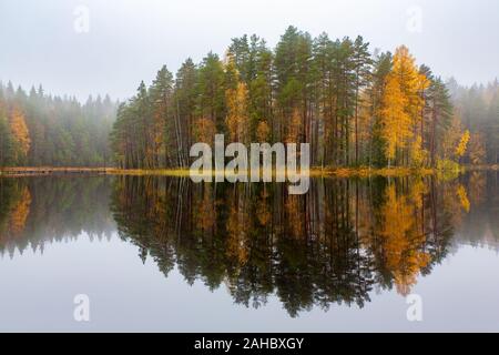 Forêt colorée en Finlande avec image miroir dans le lac au cours de l'automne Banque D'Images