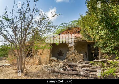 Vieille maison à l'abandon d'arbres et le jardin sur l'île de Bonaire Banque D'Images