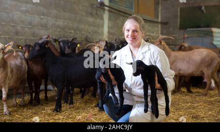 Young female farmer en blouse blanche s'occuper de petite goatlings sur les chèvres farm Banque D'Images