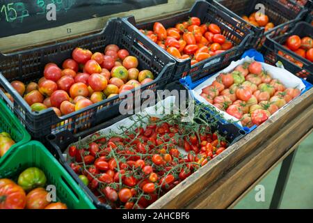 Boîtes avec des tomates mûres divers in grocery store Banque D'Images