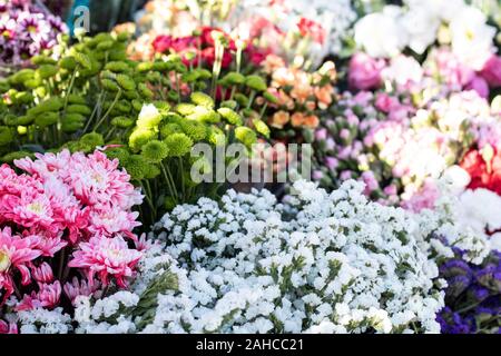 Bouquet de fleurs de près. Il y a beaucoup de sortes de fleurs dans verenkte. Banque D'Images