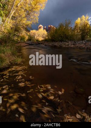 La couleur en automne et stormlight sur Oak Creek et de la cathédrale de rochers, Red Rock Crossing Park, Sedona Banque D'Images